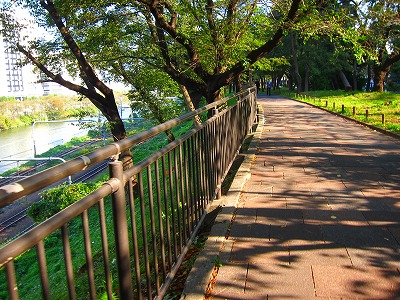 a0219537_23311113.jpg