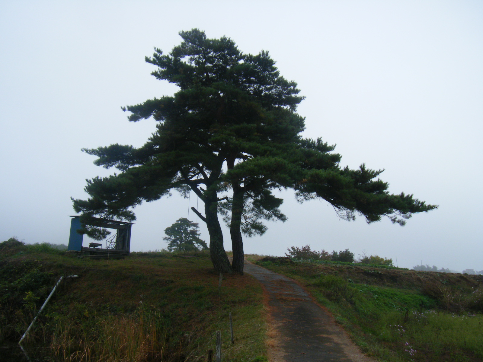 d0103737_9222791.jpg