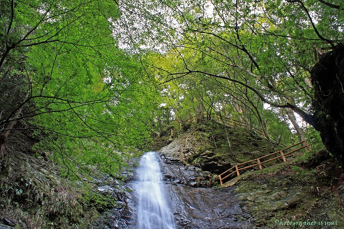 e0083238_20585733.jpg