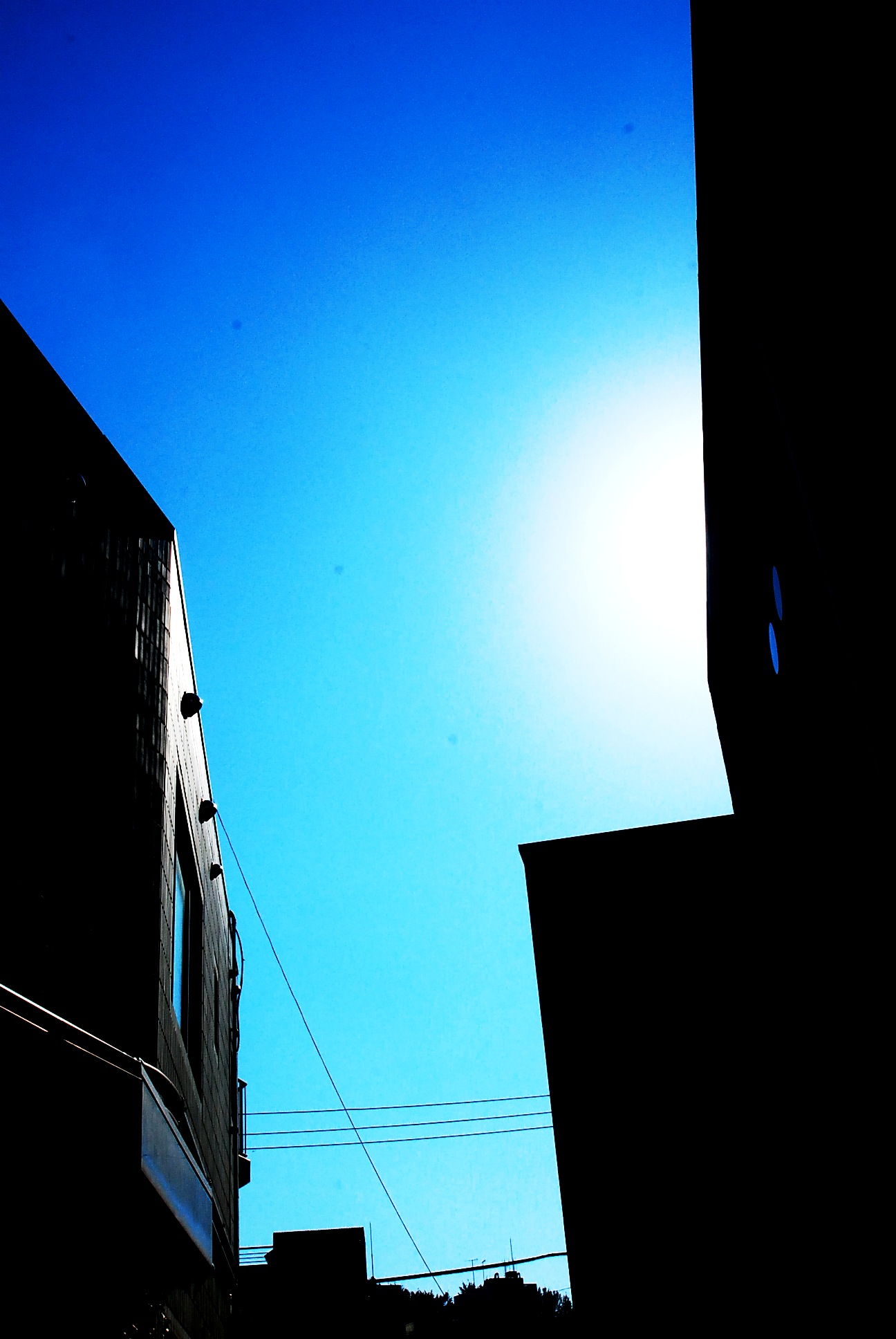 e0237639_027301.jpg