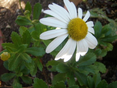 a0054240_20322568.jpg