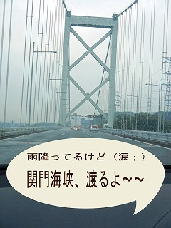 a0135840_932183.jpg