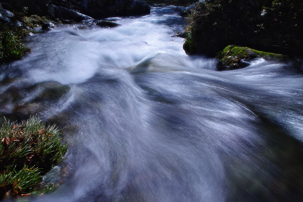 d0246642_21341973.jpg