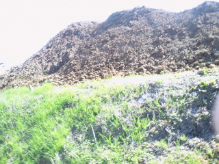 e0150849_221423.jpg