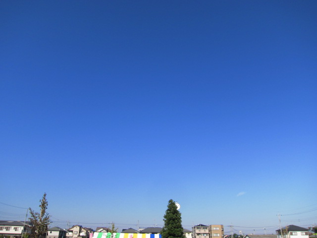 f0220152_1802791.jpg