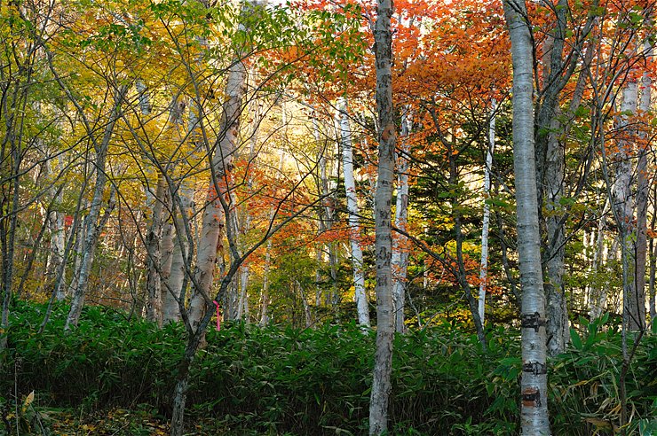 f0222161_13334213.jpg