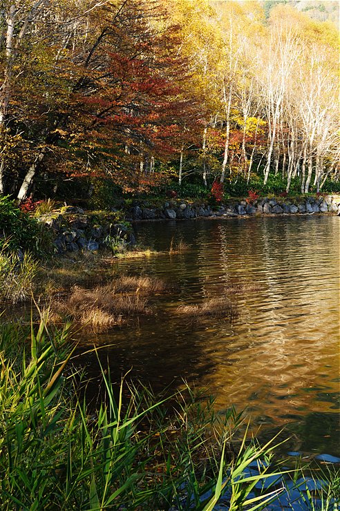 f0222161_13334746.jpg