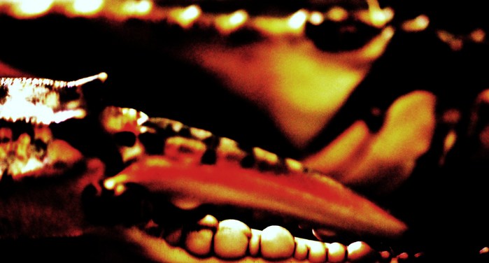 c0175267_0314463.jpg