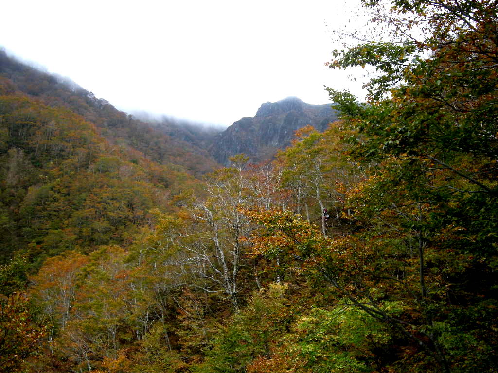 b0185573_1250234.jpg