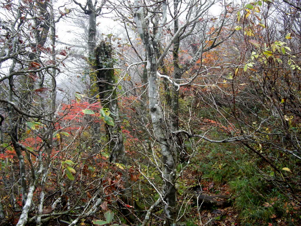 b0185573_20341086.jpg