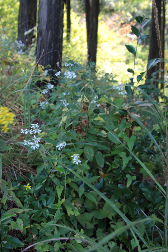 e0024081_18223176.jpg