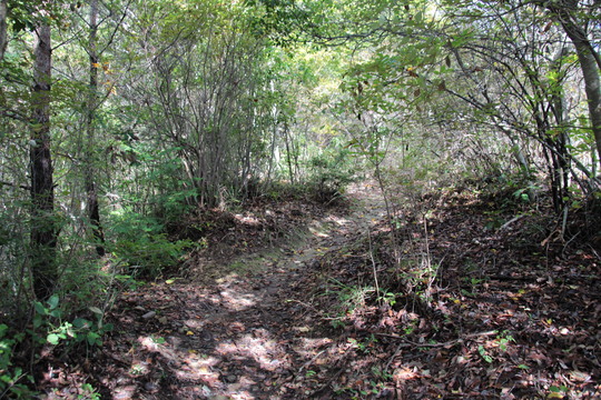 e0024081_1824333.jpg