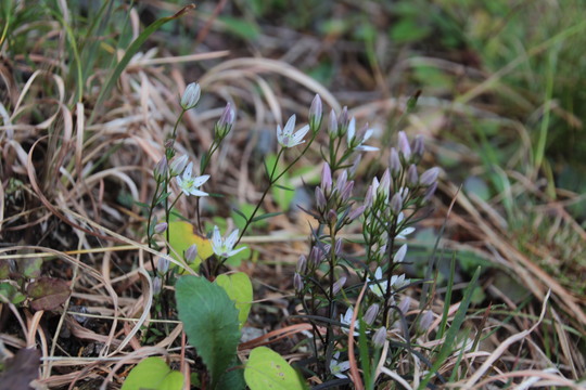 e0024081_1830528.jpg