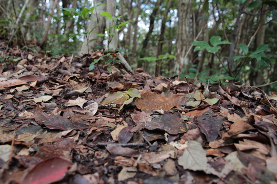 e0024081_18322689.jpg