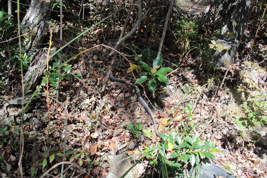 e0024081_18341811.jpg