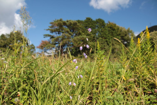 e0024081_1839156.jpg