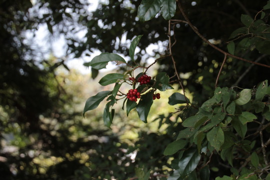 e0024081_18393719.jpg