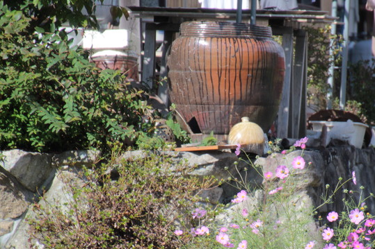 e0024081_18413452.jpg