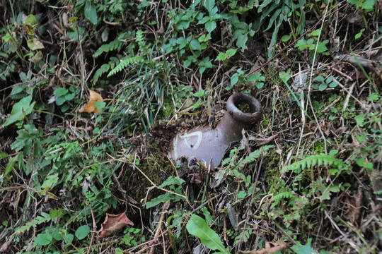 e0024081_1846176.jpg