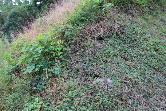 e0024081_18463175.jpg