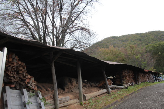 e0024081_18472771.jpg