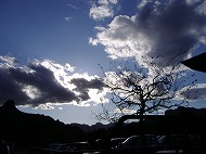 a0142083_21335383.jpg