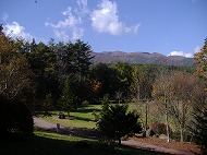 a0142083_21492756.jpg