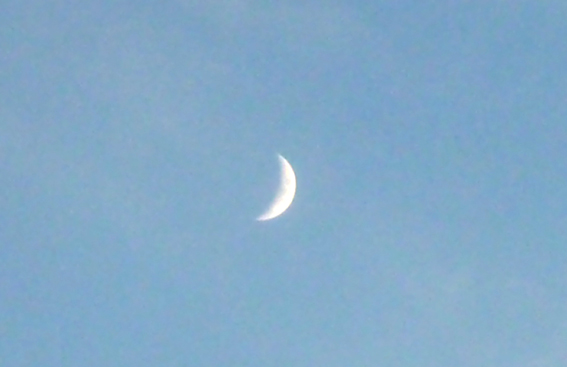 c0125283_20381182.jpg