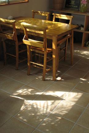 e0130185_132494.jpg