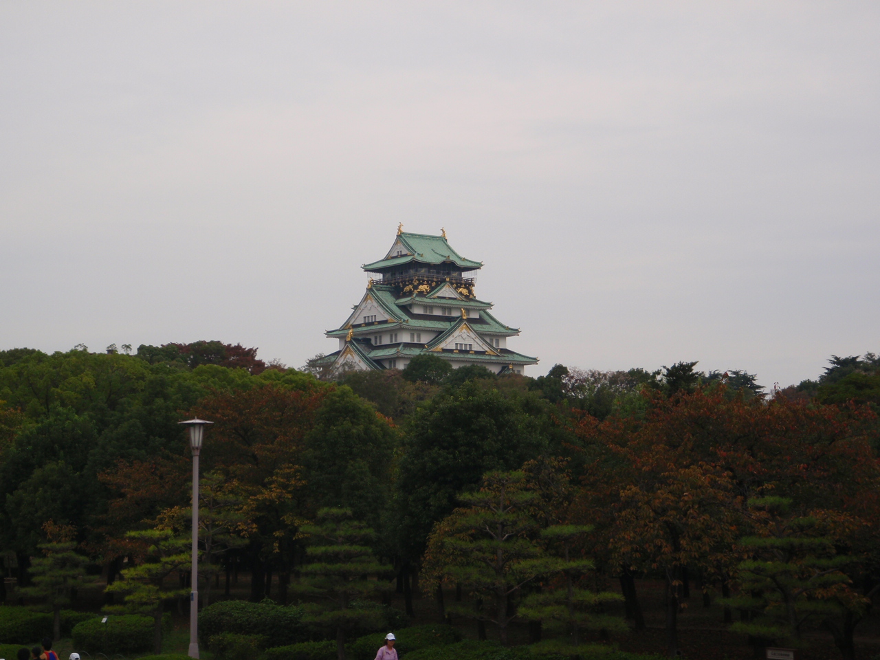 d0034291_2222459.jpg