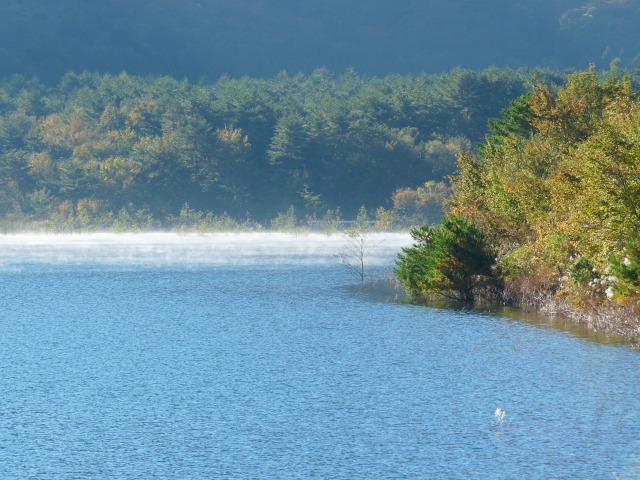 e0202393_18365420.jpg