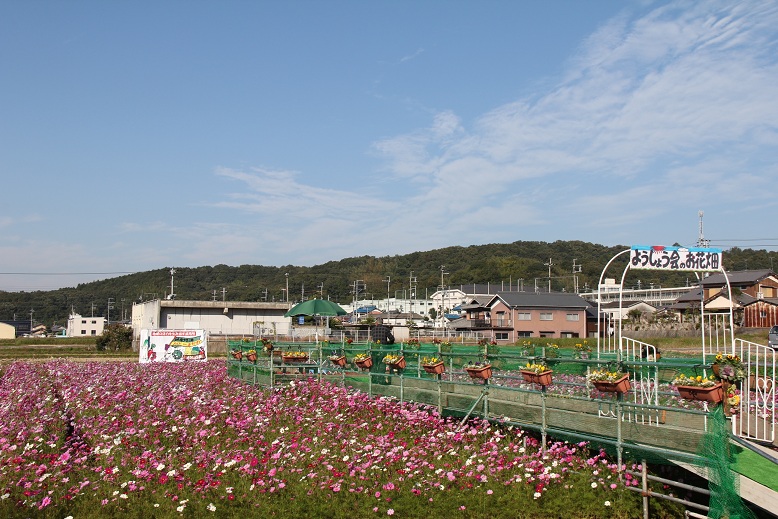 d0107394_177622.jpg