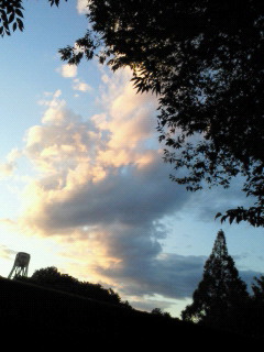 f0061797_21144030.jpg
