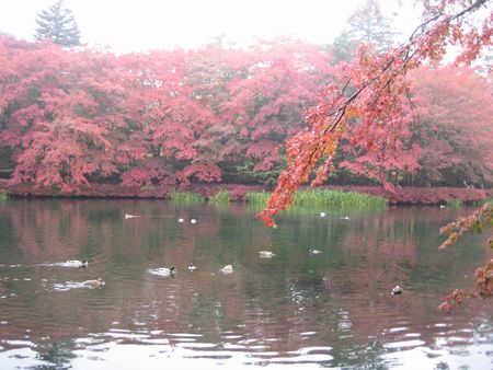 f0201297_1848544.jpg