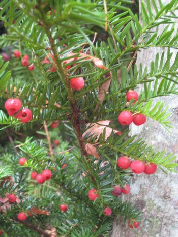f0201297_19143560.jpg