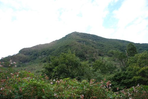 a0218499_2253438.jpg