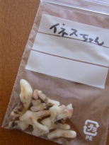 b0122499_167572.jpg