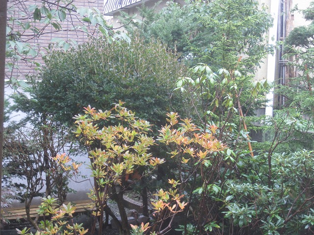 f0202703_2204368.jpg