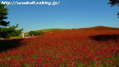 e0145805_1842796.jpg