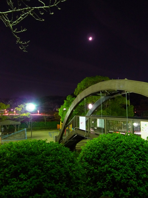 a0097006_22464937.jpg