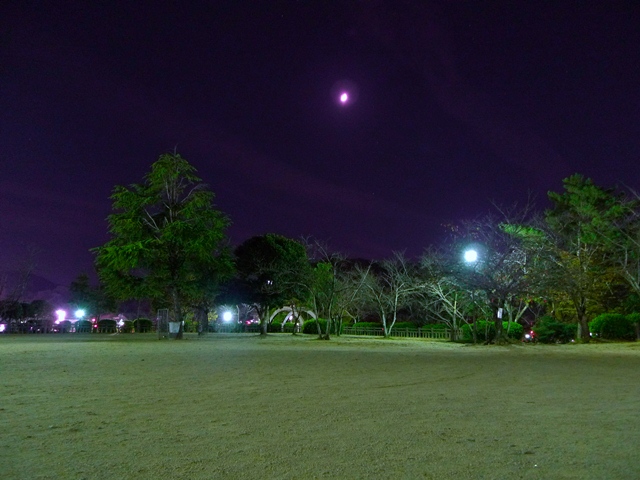 a0097006_2246530.jpg