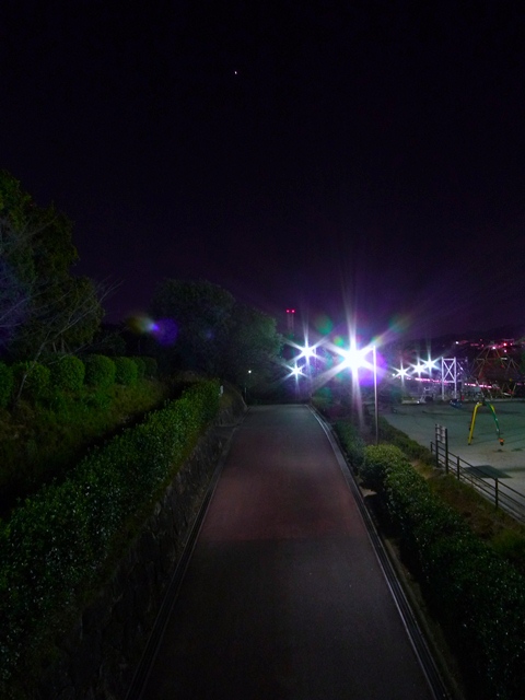 a0097006_22474573.jpg