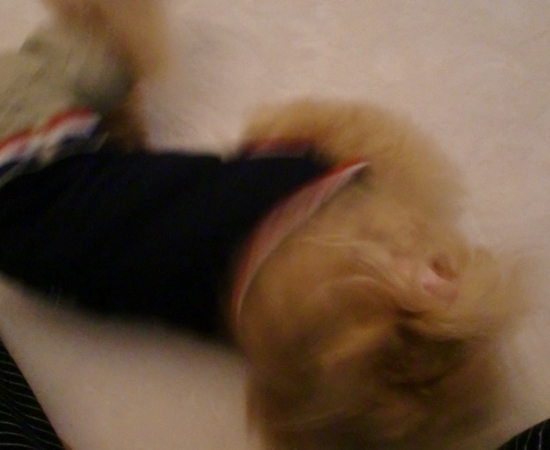 c0110906_8435641.jpg
