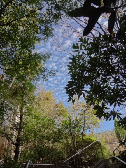 a0232921_2114991.jpg