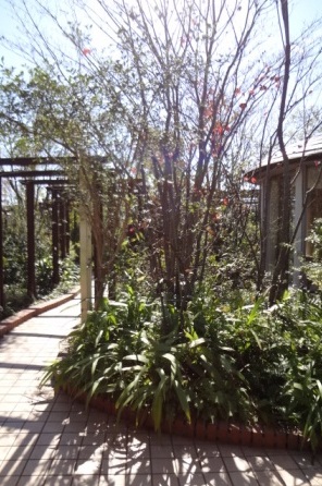 a0232921_214340.jpg