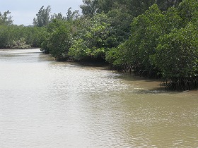 b0132522_10344168.jpg