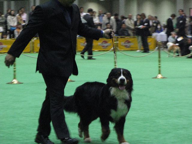 e0203322_15331355.jpg