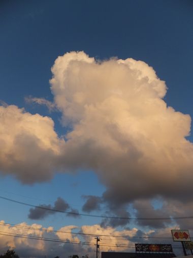 c0152123_084560.jpg