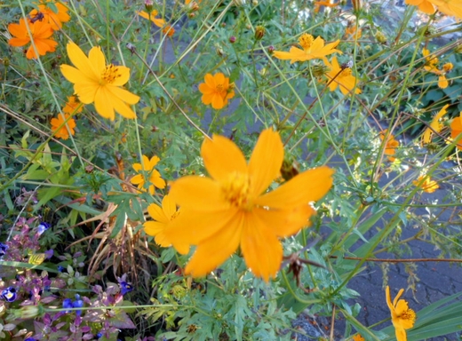 c0155326_829124.jpg