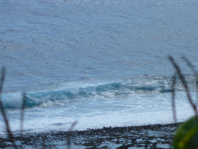 e0002927_1004211.jpg